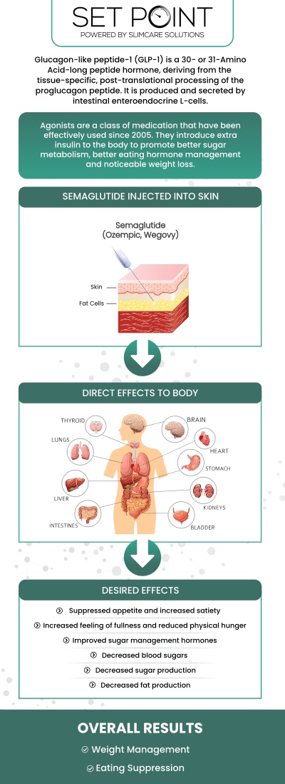 Do you want to lose weight? Our professional team provides Semaglutide GLP-1 for medical weight loss, a significant treatment at Set Point Medical Weight Loss Clinic. Our approach produces notable results in terms of reduced appetite, improved blood sugar control, and long-term weight loss. For more information, contact us or schedule an appointment online. We have convenient locations to serve you in Folsom, CA and Roseville, CA. Do you want to lose weight? Our professional team provides Semaglutide GLP-1 for medical weight loss, a significant treatment at Set Point Medical Weight Loss Clinic. Our approach produces notable results in terms of reduced appetite, improved blood sugar control, and long-term weight loss. For more information, contact us or schedule an appointment online. We have convenient locations to serve you in Folsom, CA and Roseville, CA.